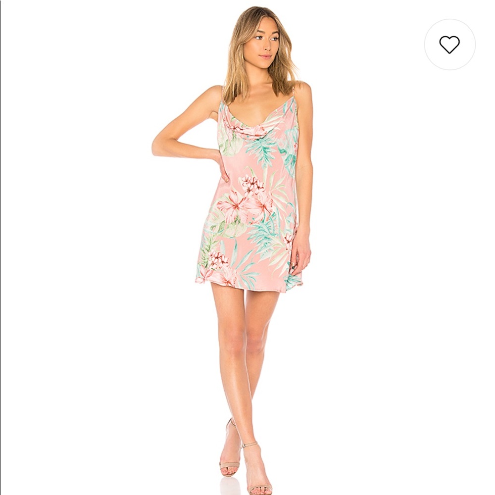 Privacy please Ozark dress in coral palm